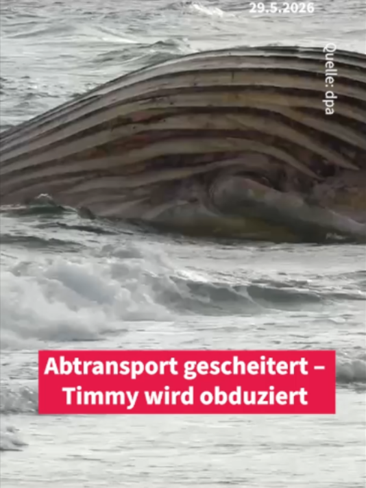 @Frankfurter Allgemeine