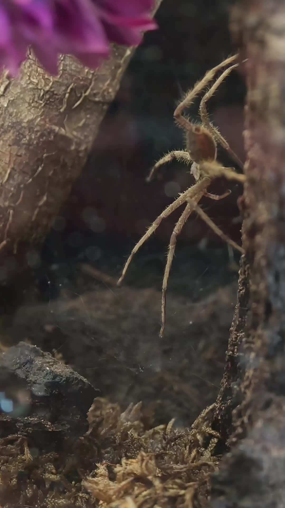 @Bestiesbeasties