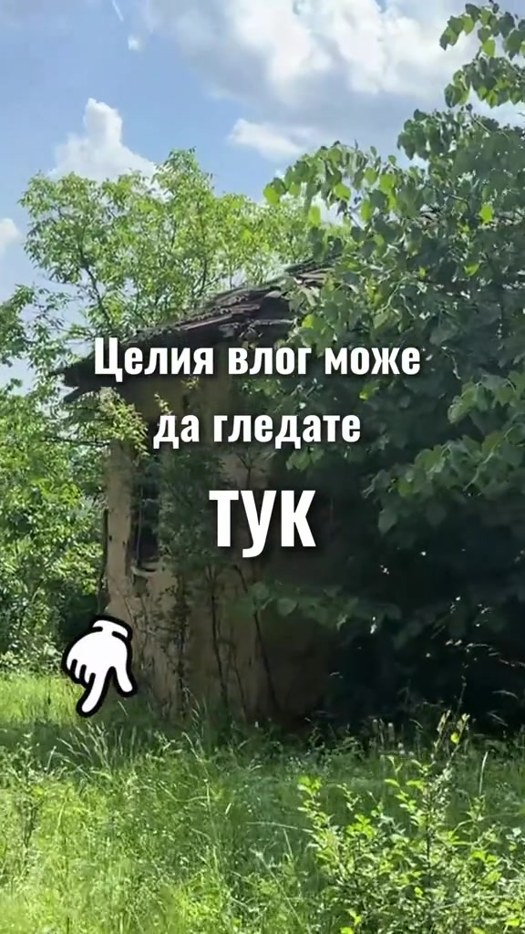 @Bibbie Moshevska