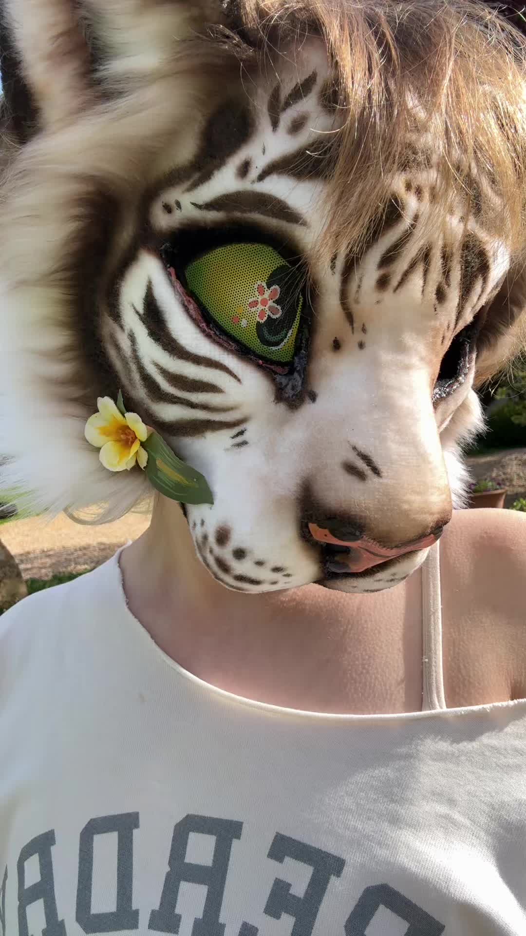 @☆ ᠻꫀ᥅ꪖꪶ ☆