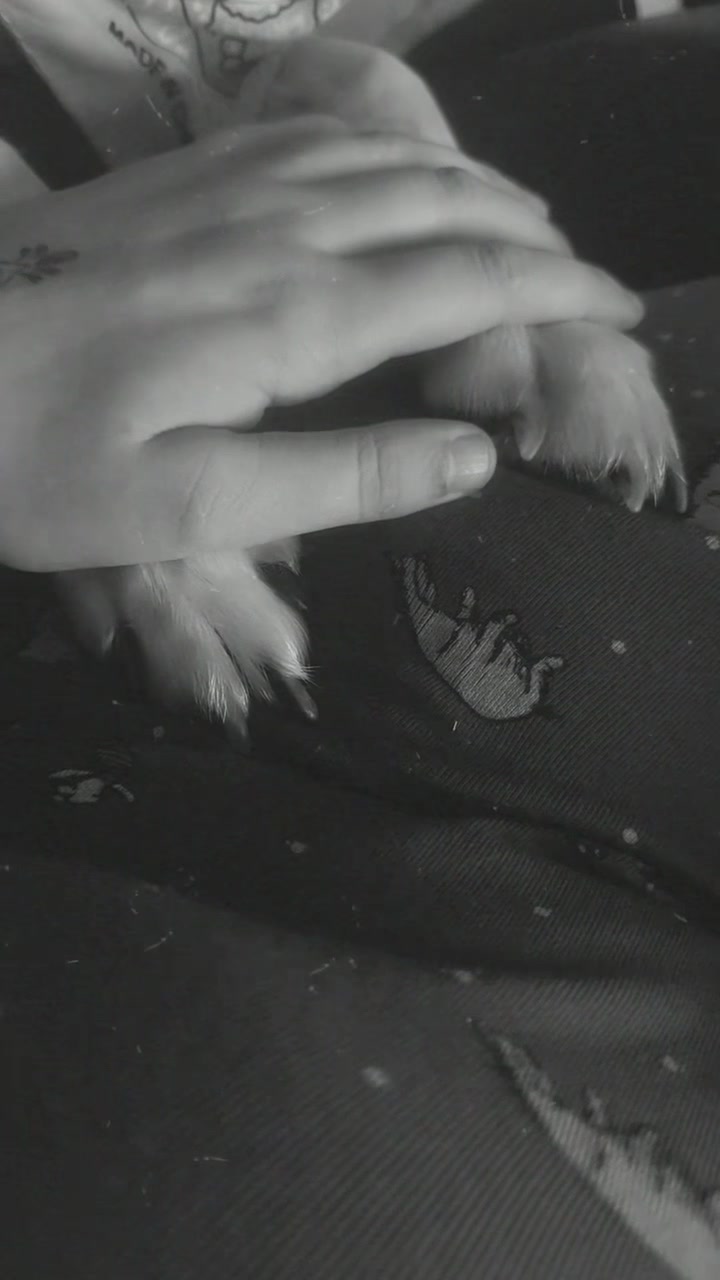 @𝒟𝙖𝙣𝙞 ♡