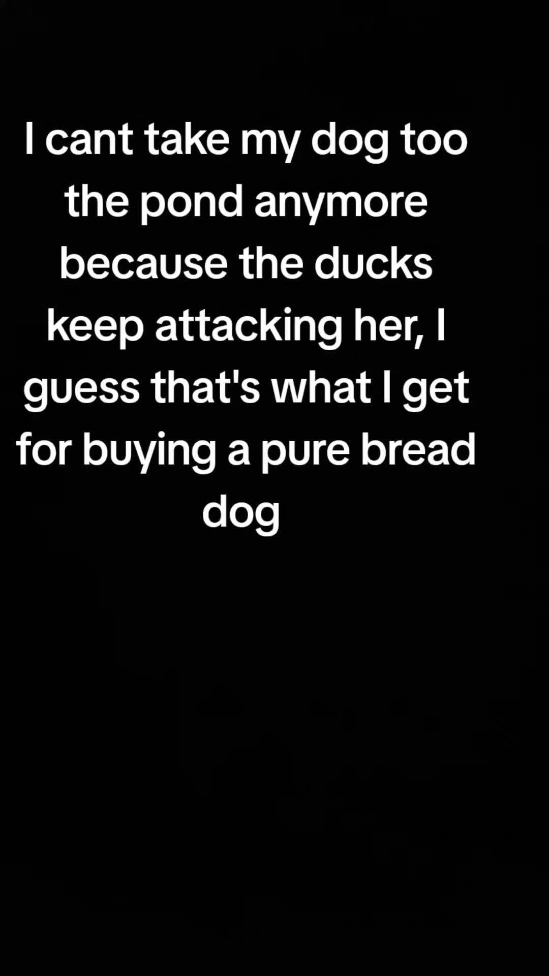 @Fur baby&rsquo;s