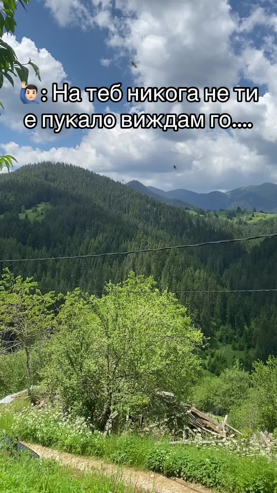 @Denis Atanasov777