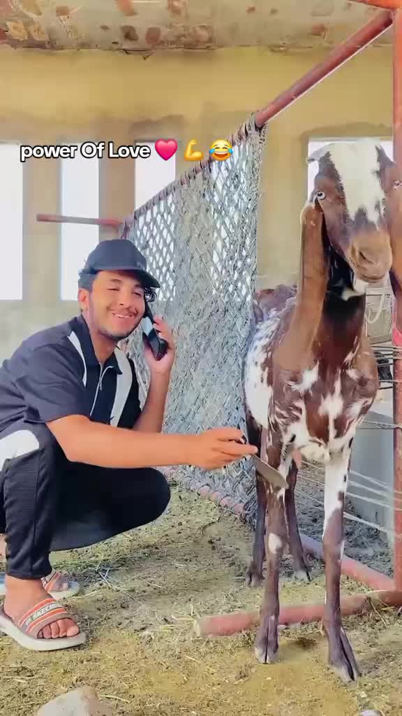 @jobifunny08