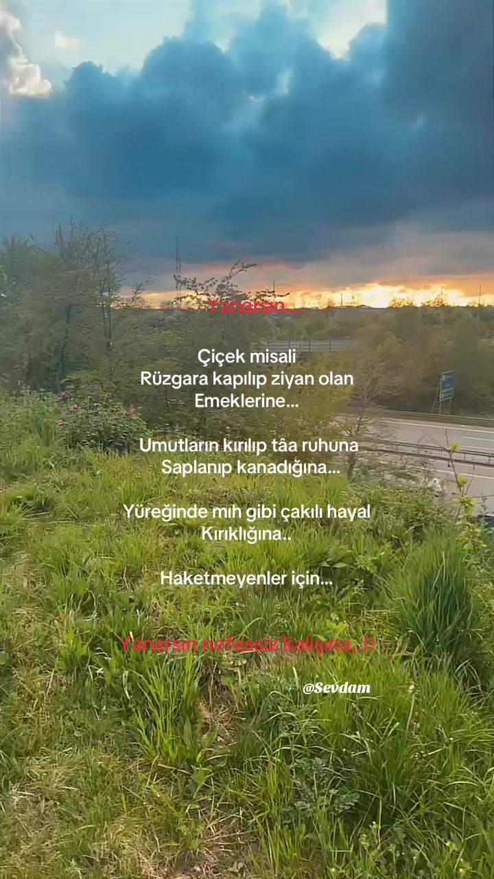 @Sevdam