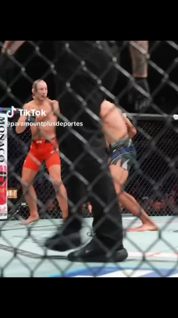 @Chad_YO8🥊💬✨️