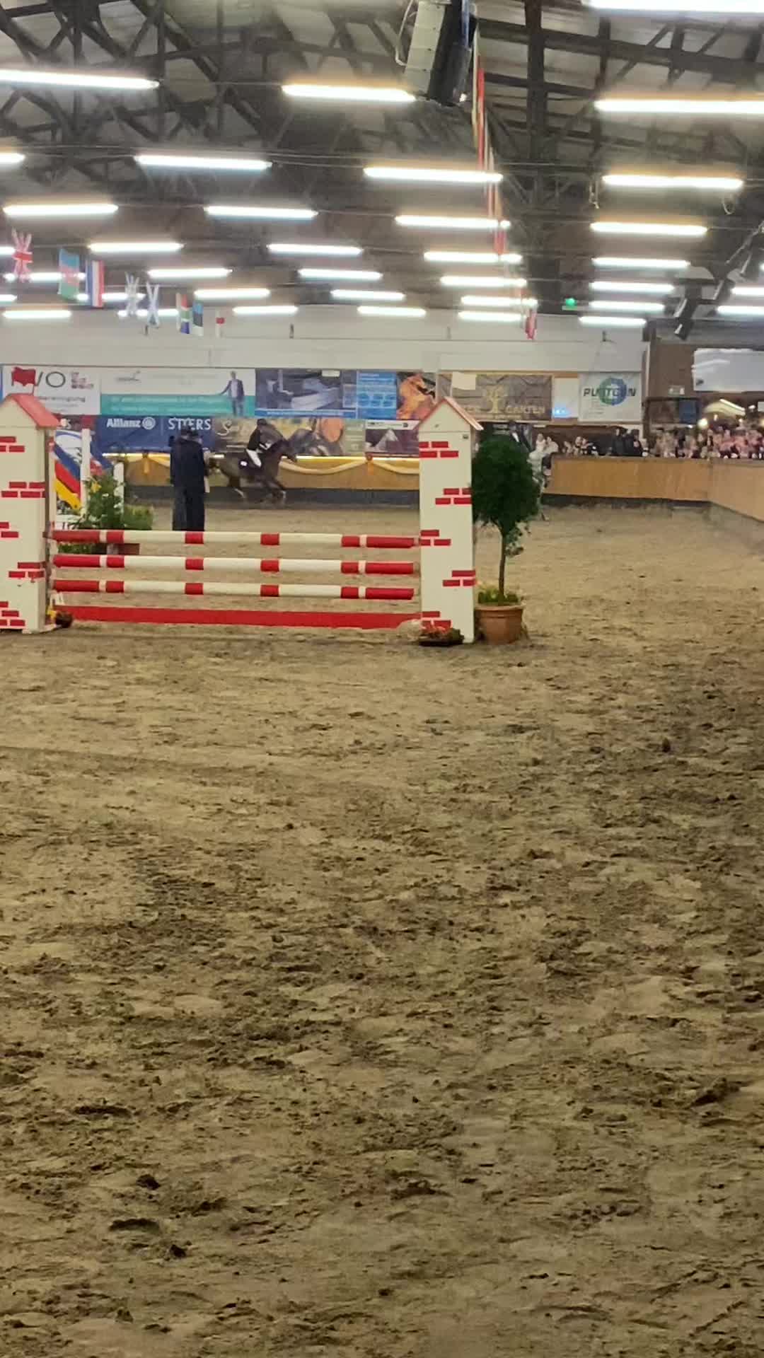 @horse_edits