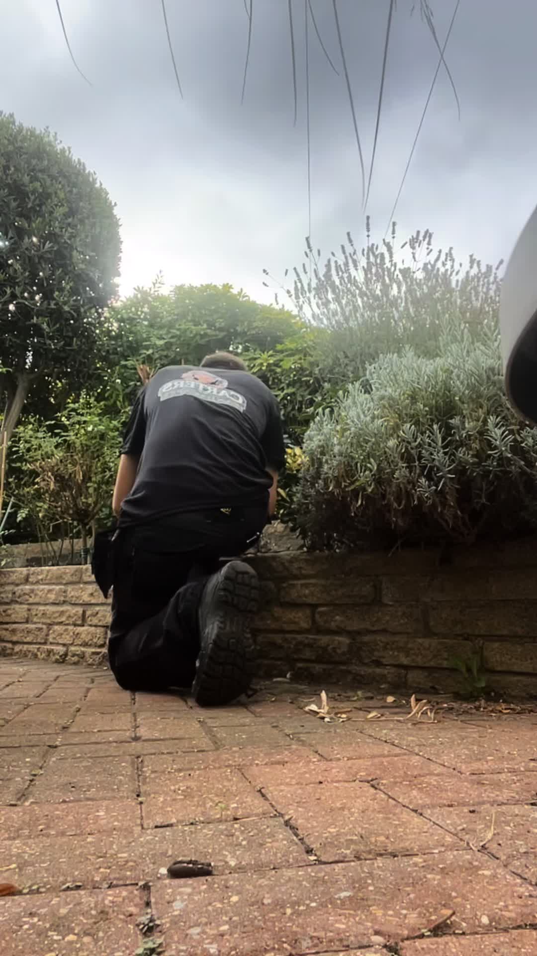 @carterslandscapes