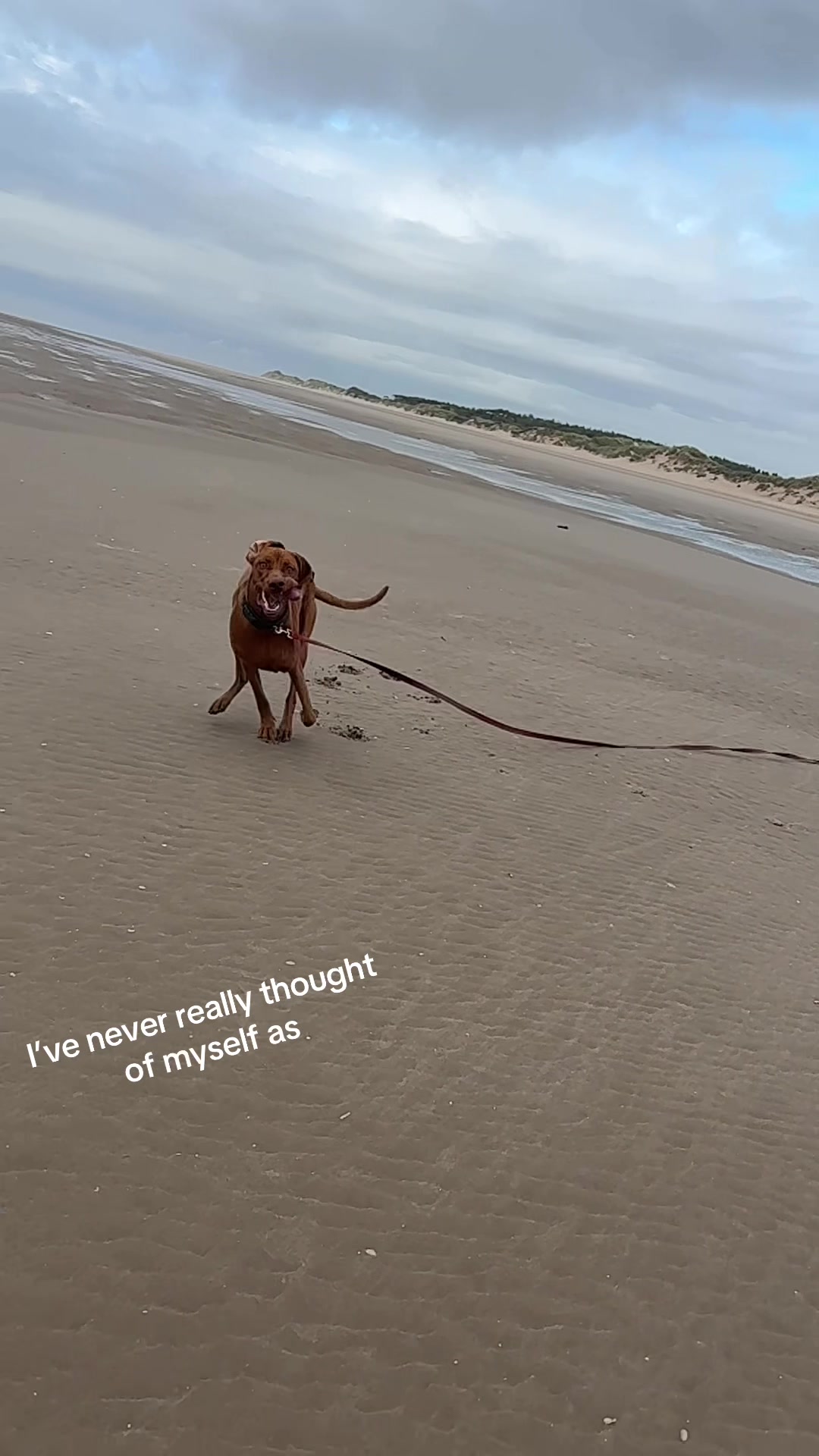 @LittleMissIndie