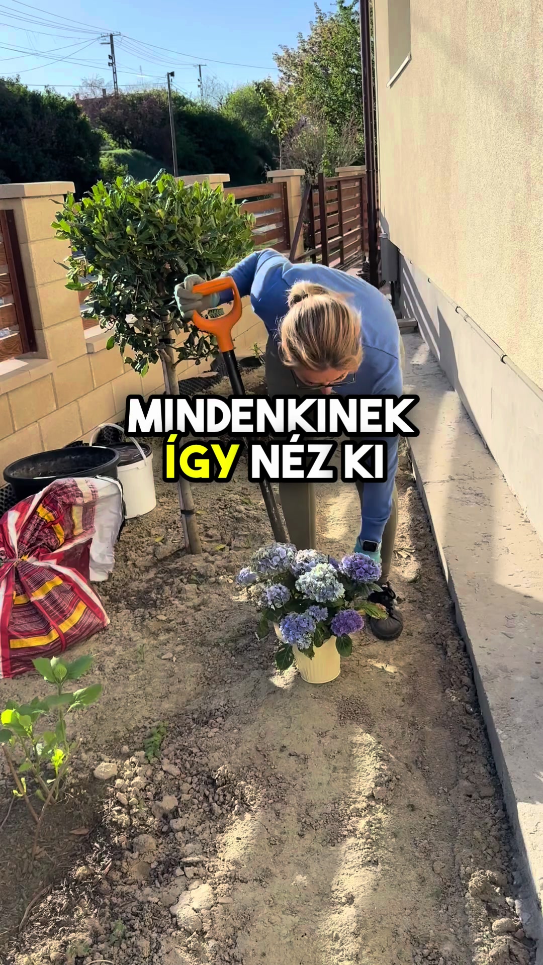 @Jámbor Fanni