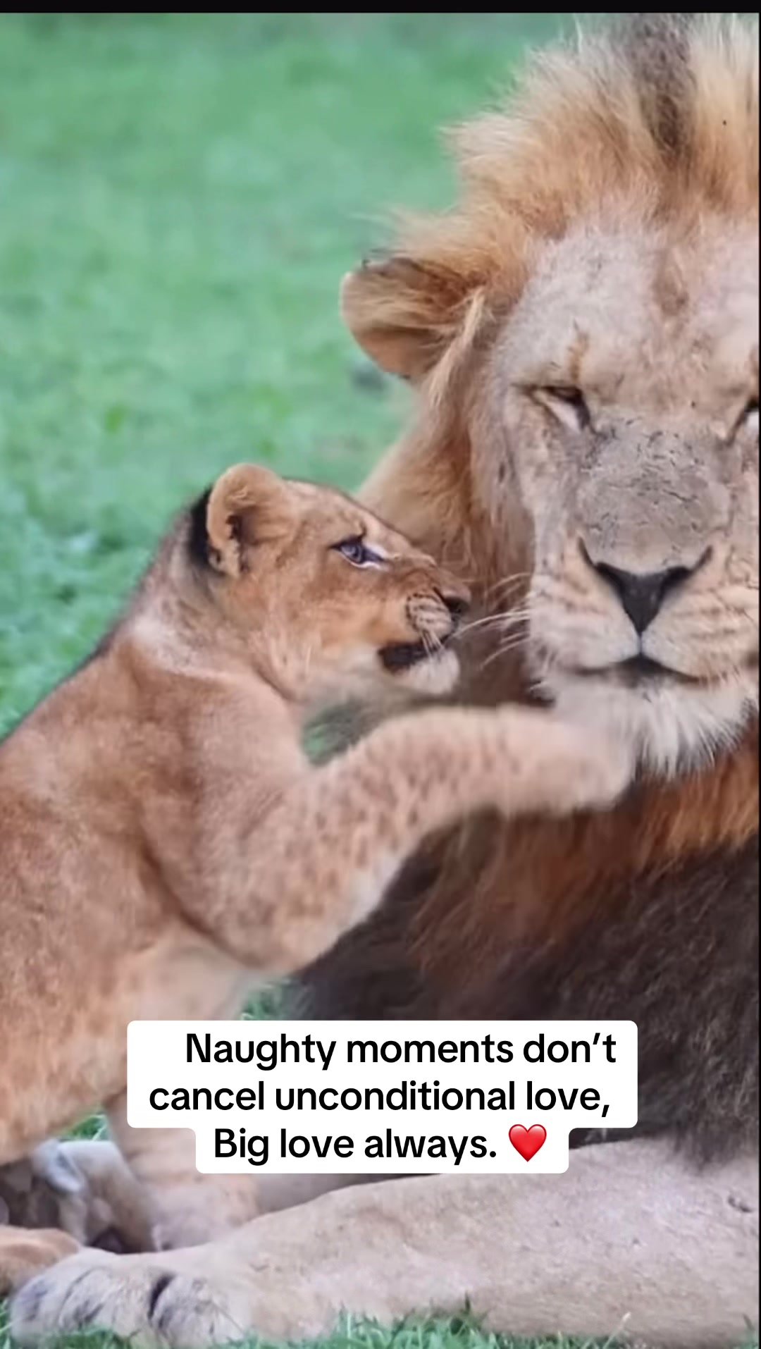 @Nature.best