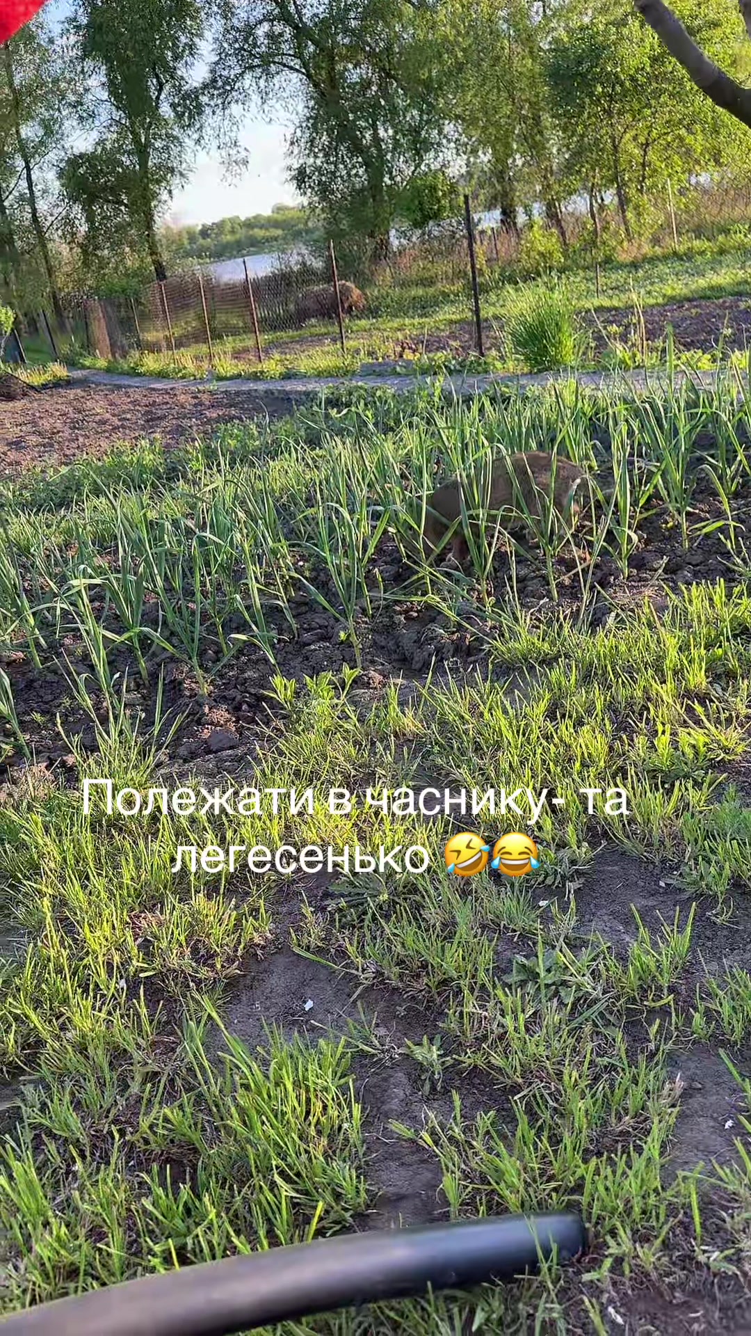 @ALLKA ✔️