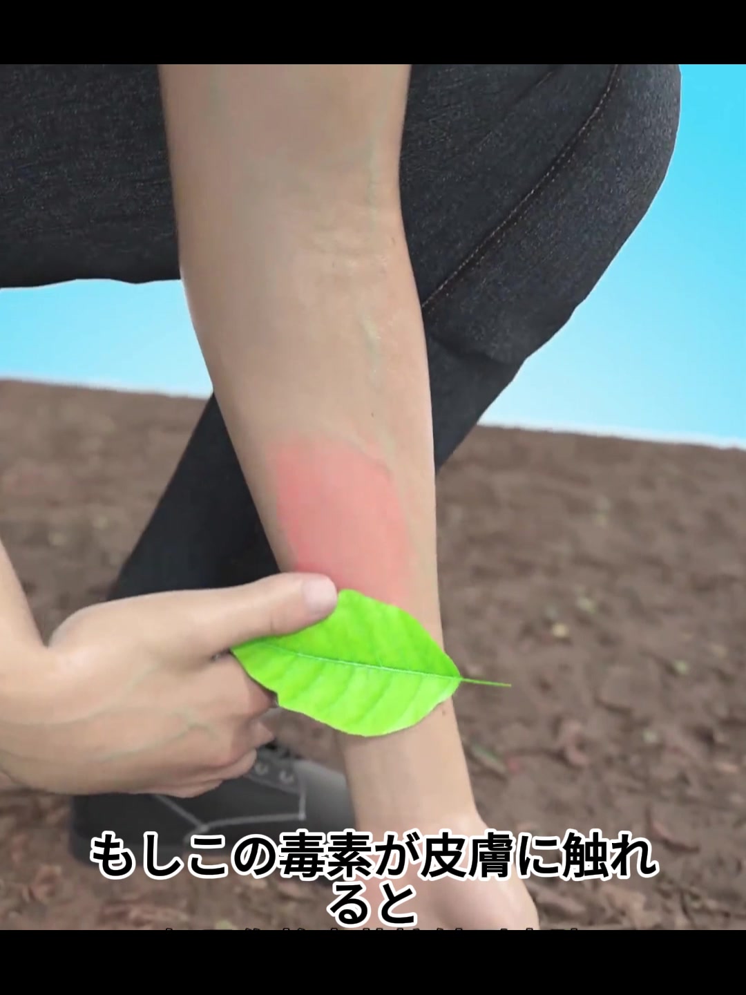 @人体ミステリー研究所
