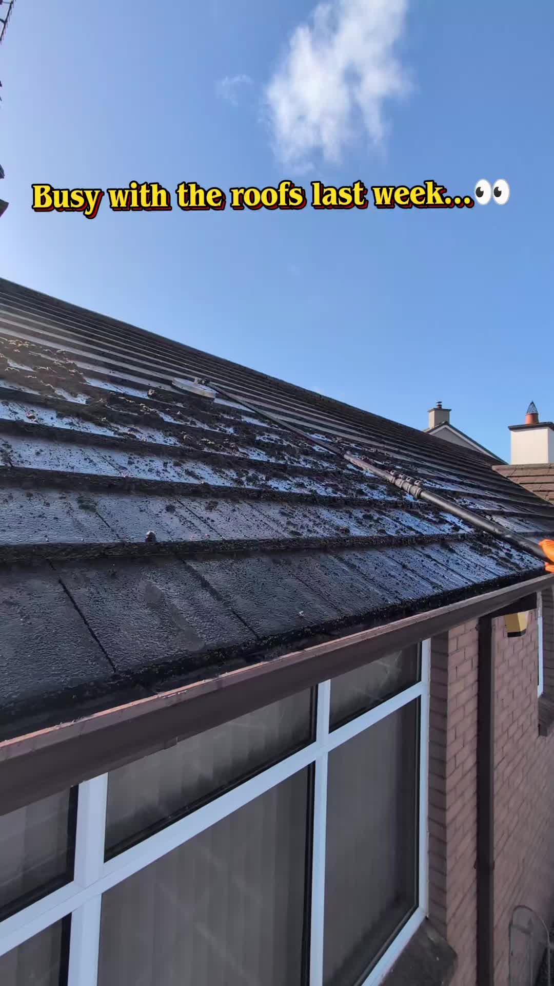 @Exterior Cleaning Services Ni