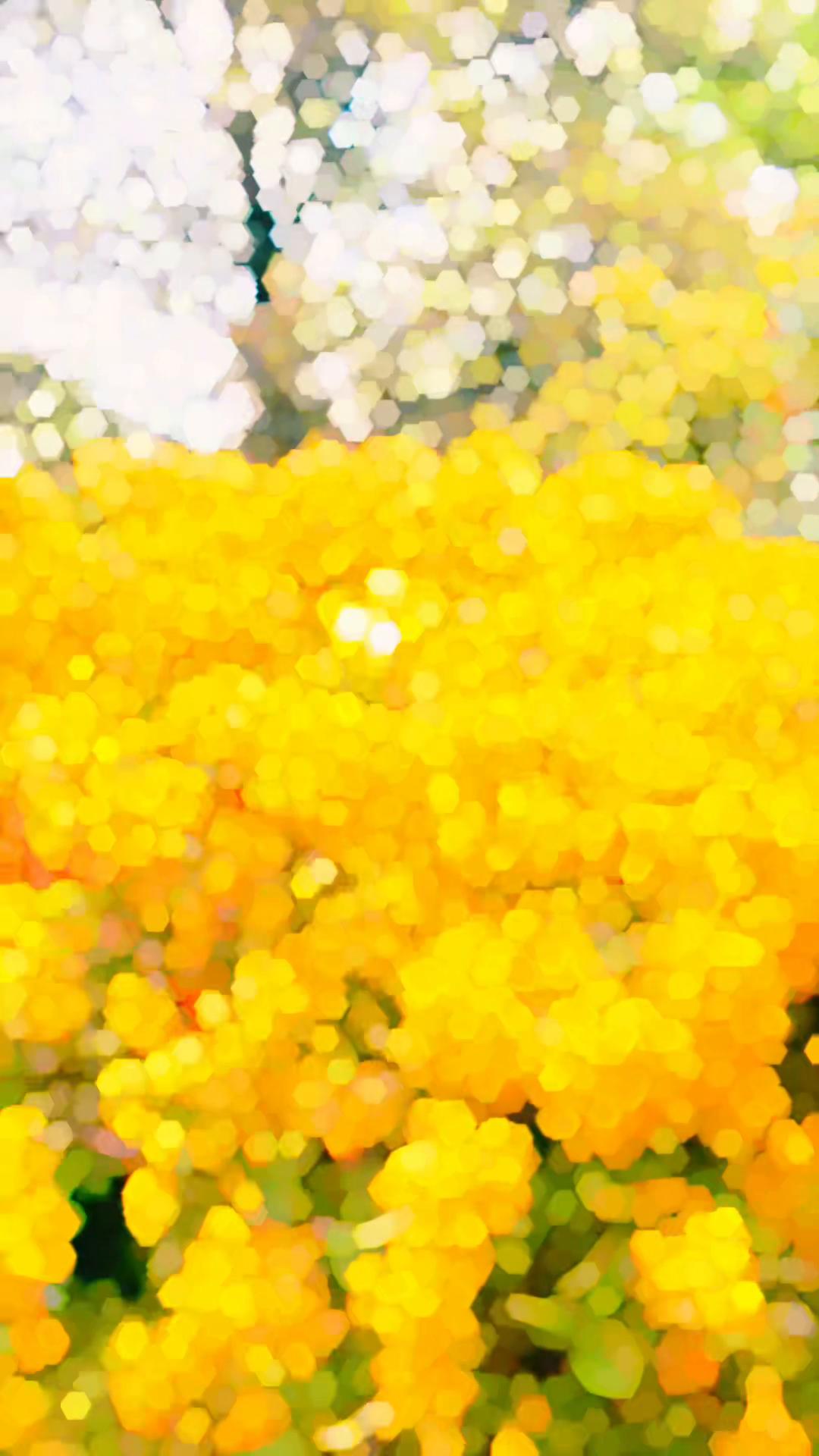 @𝗺𝗲𝗹𝗮𝘅