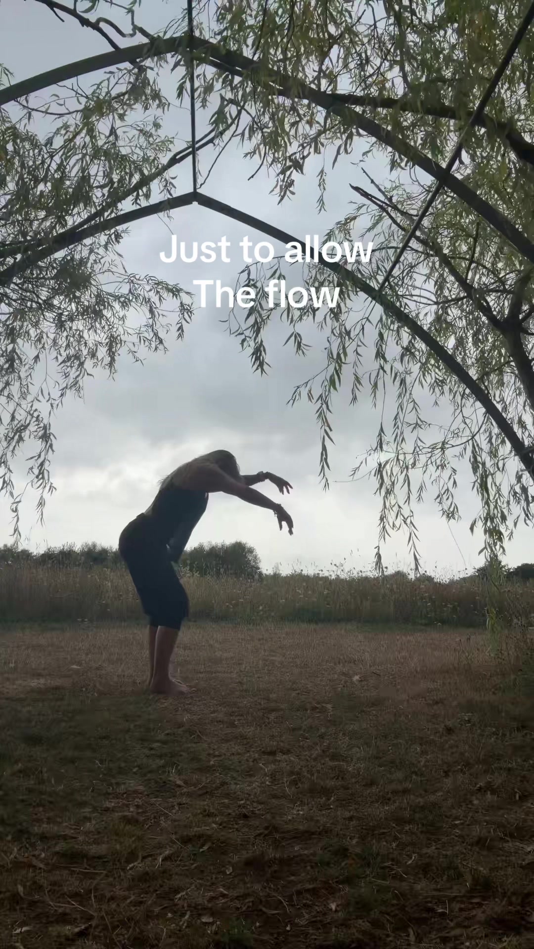 @forest.moon.wellbeing