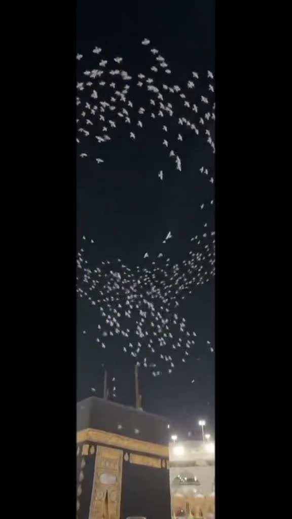 @islami video 🕋🕋🕋🕋