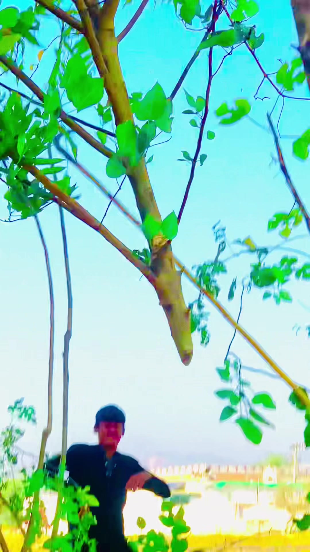 @SAIDRAHMAN