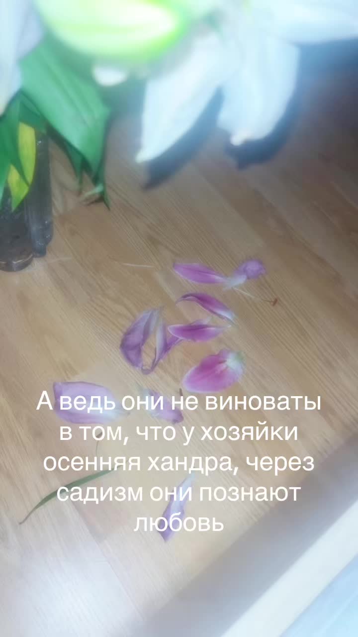 @anemonale