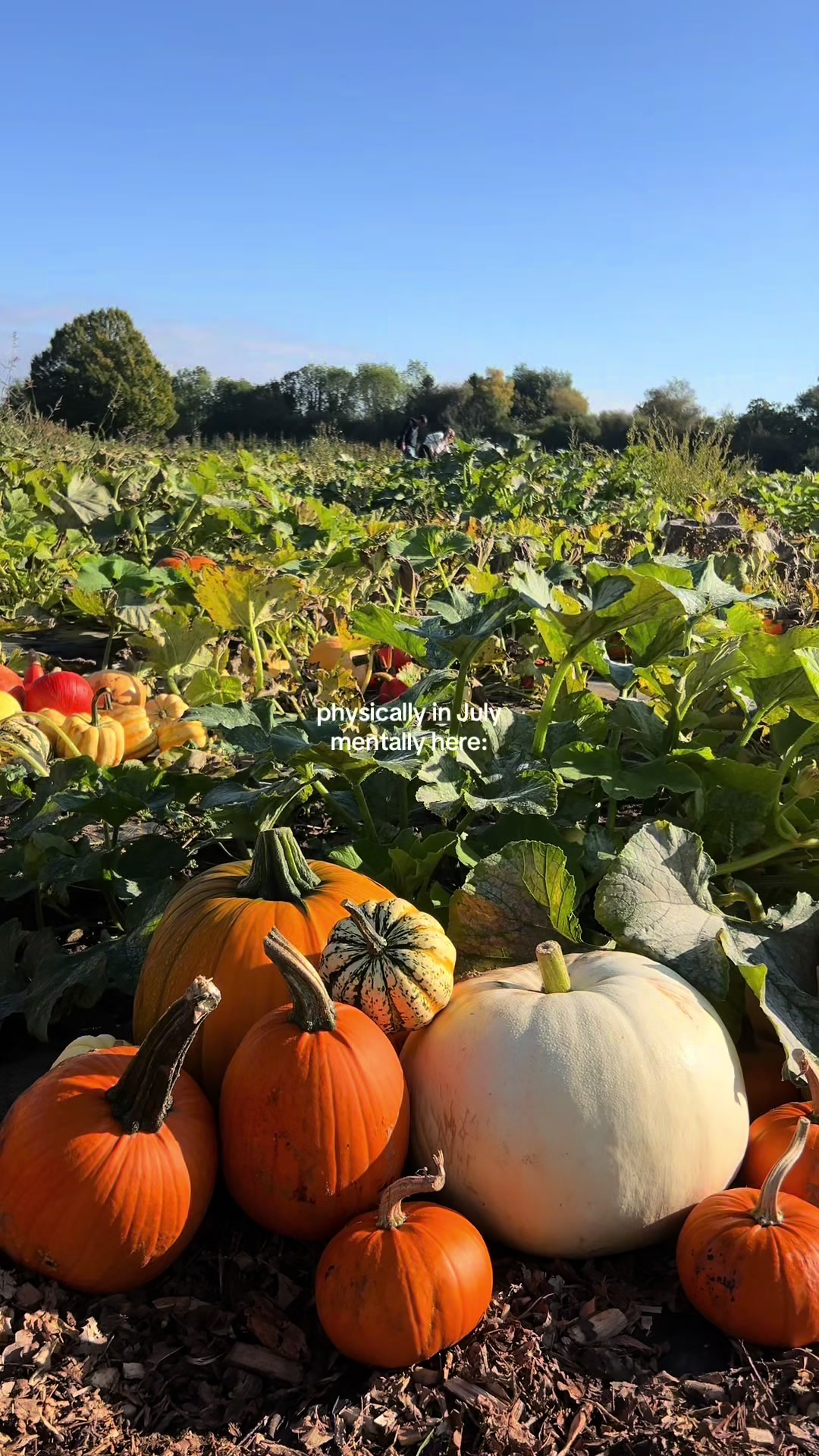 @claire | travel and life🌞💌🌿