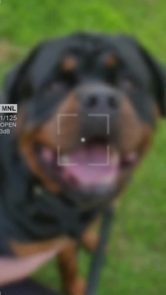 @Reggie the Rott