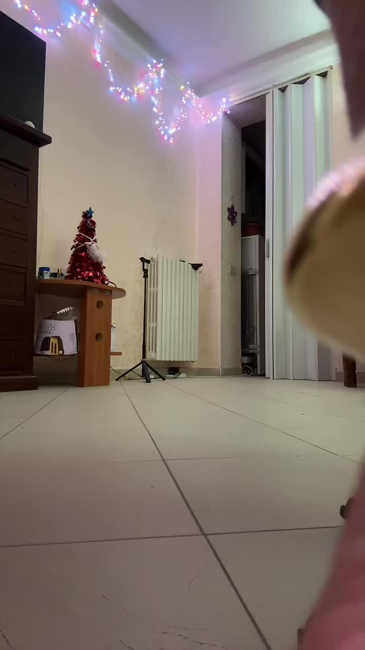 @Giovanna Ioana