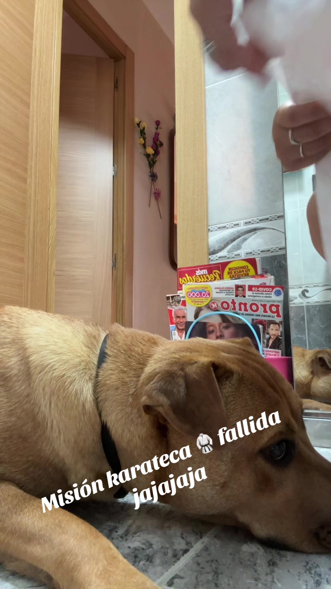 @Liber💋🥰