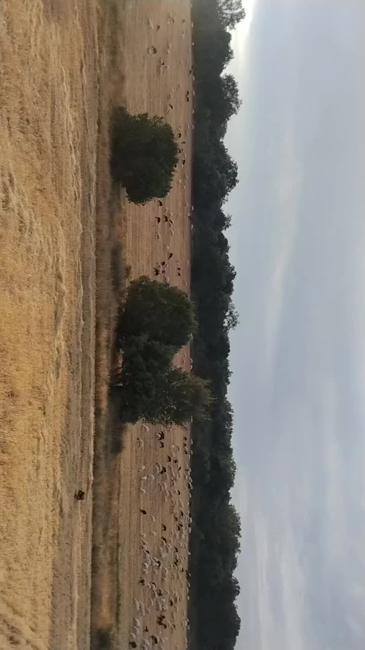 @Iván.