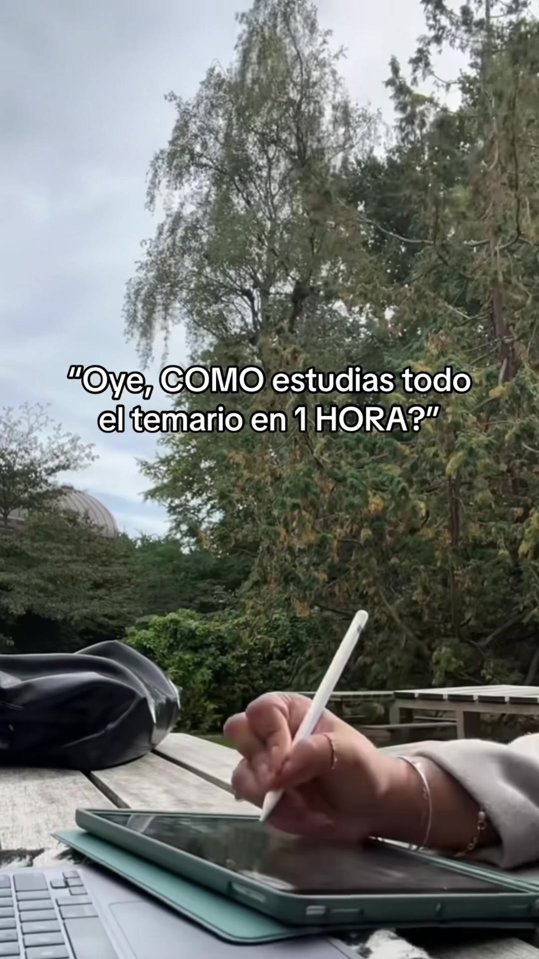 @Estudiaconmia