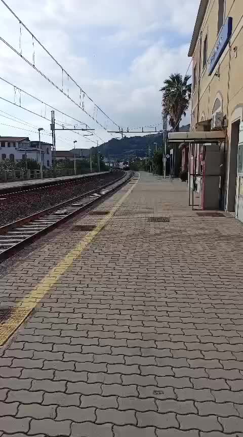 @DamyE656