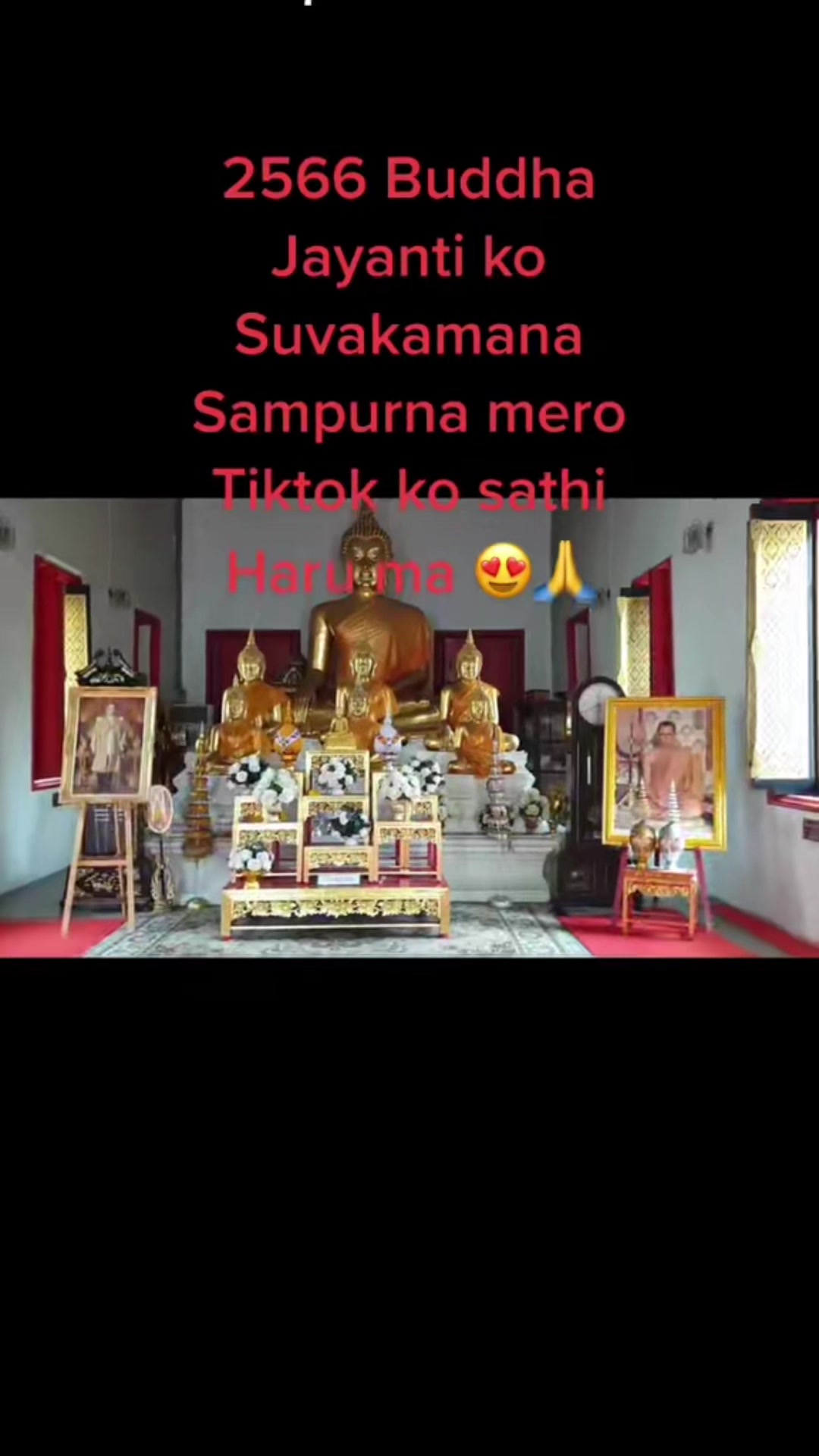 @Tara T Yakso