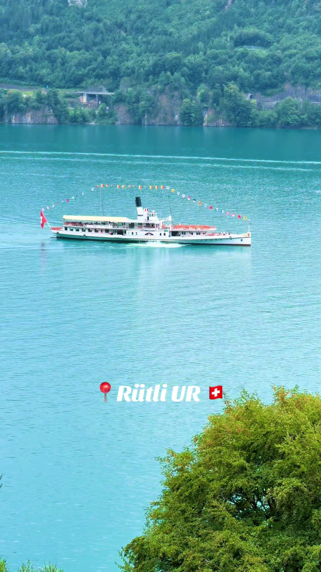 @swiss_alps