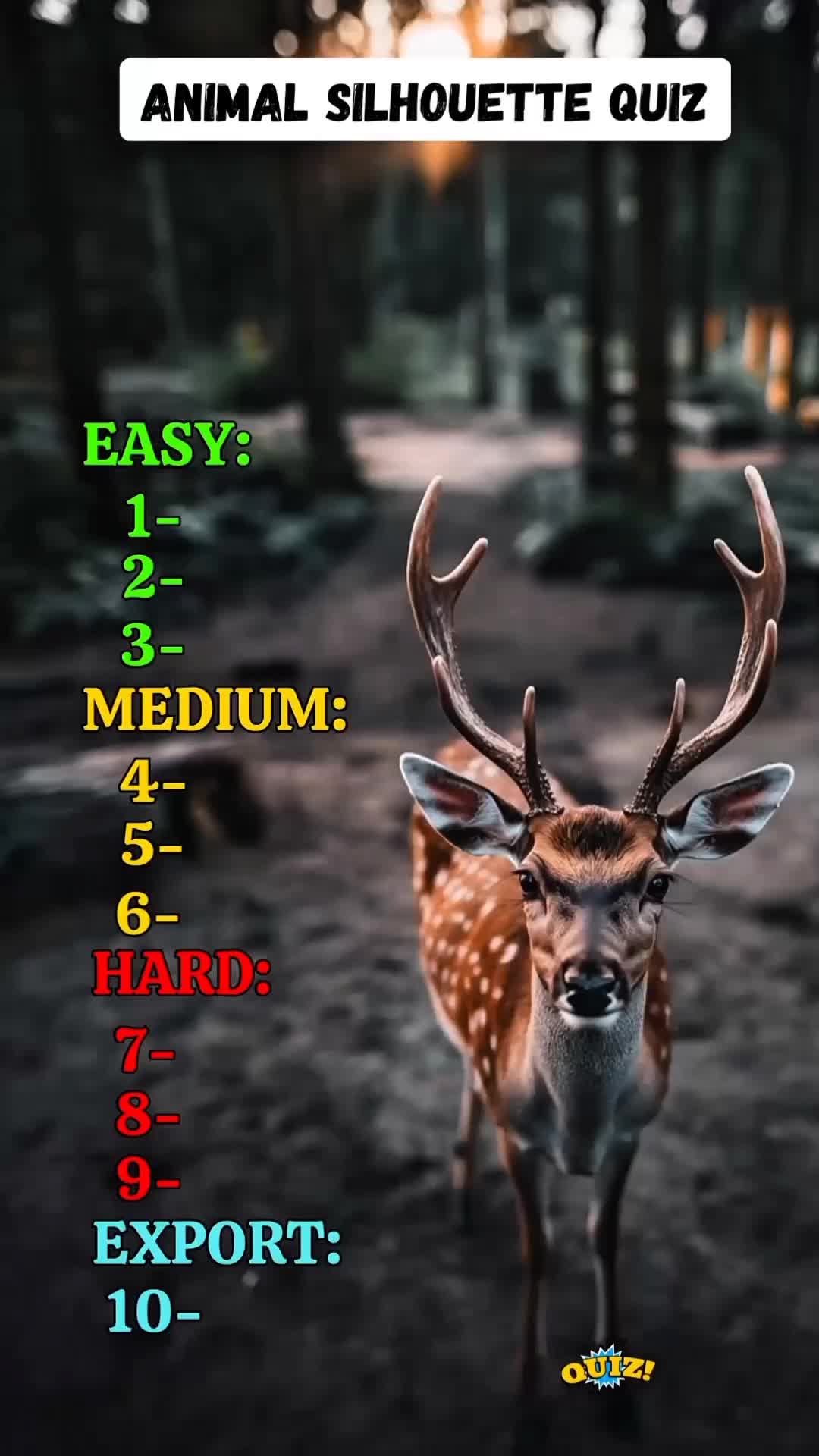 @worldtips