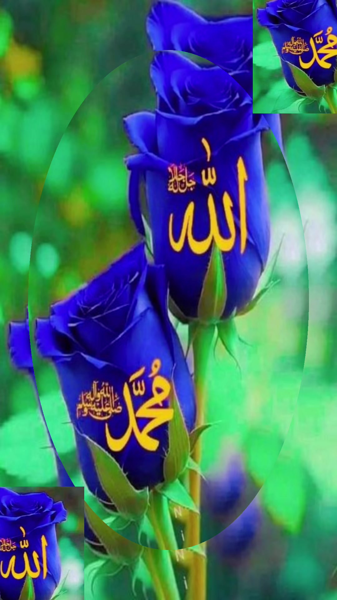 @shuhel257
