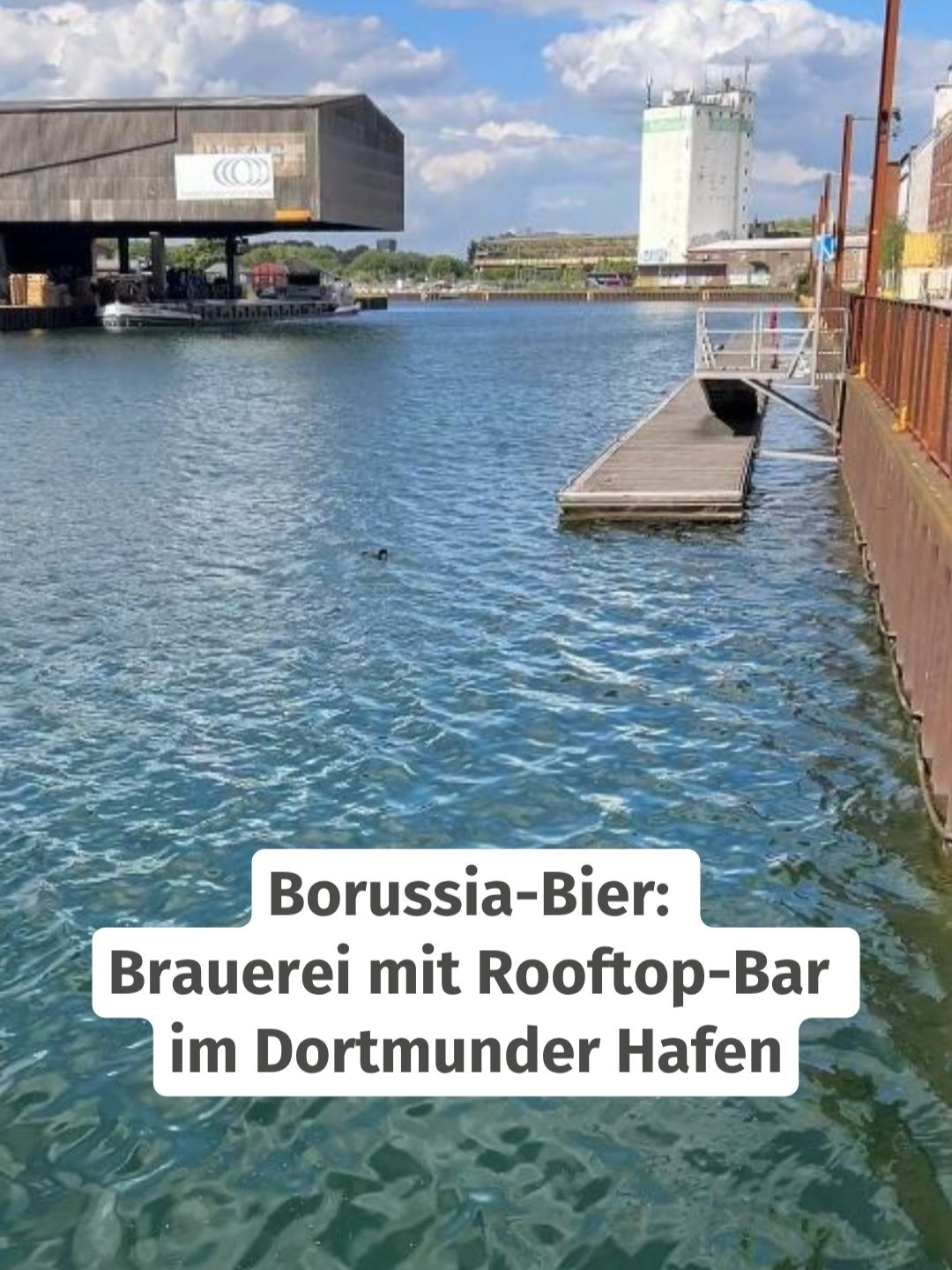 @WochenDOsis | WAZ Dortmund