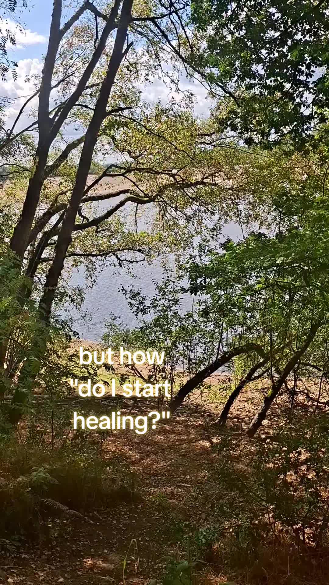 @HomesteadHerbal