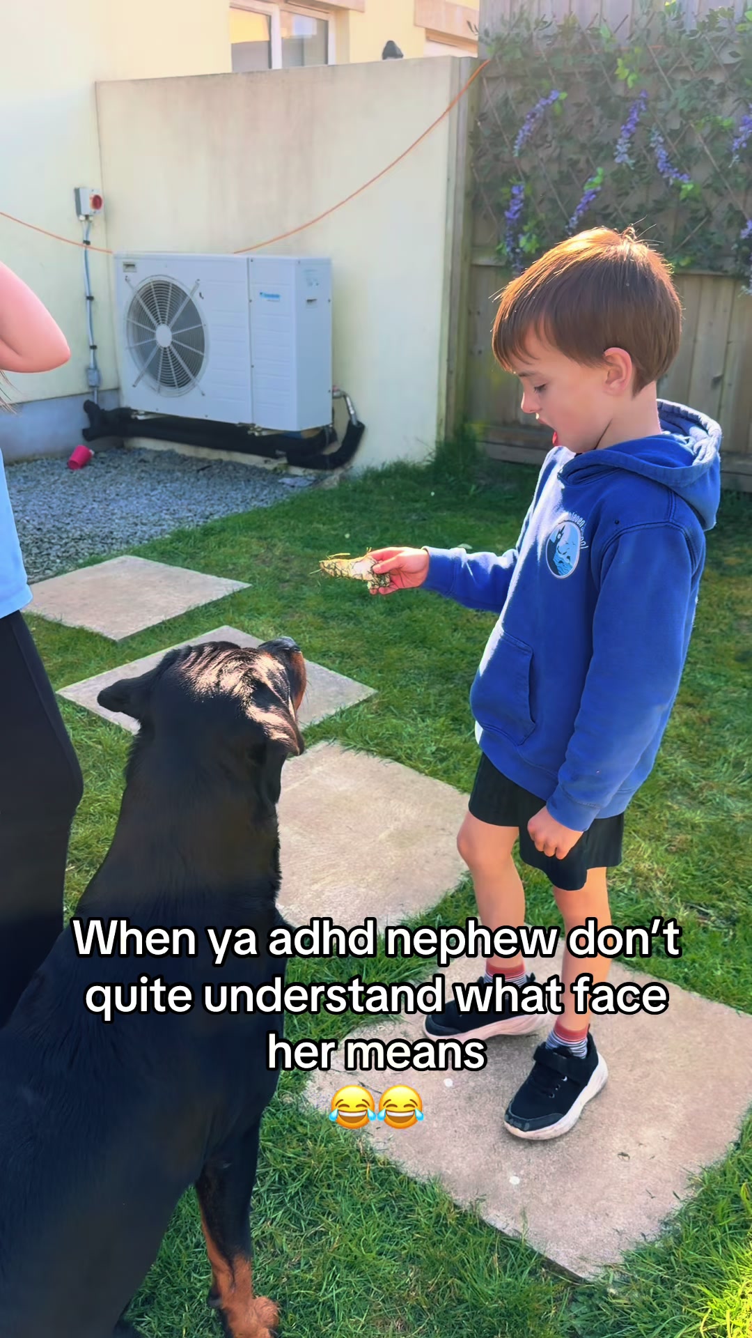@horsetiktoc