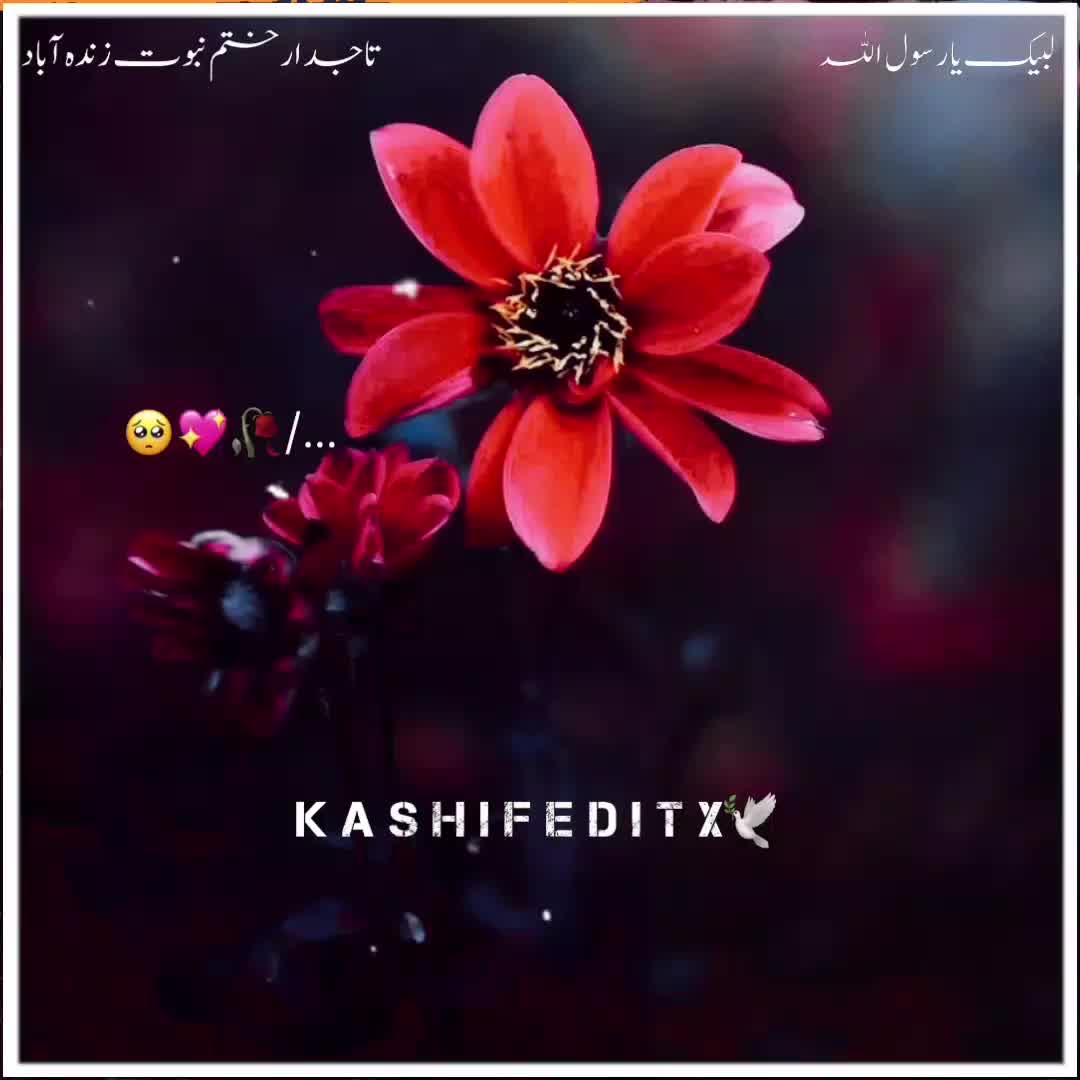 @Kashif Editx