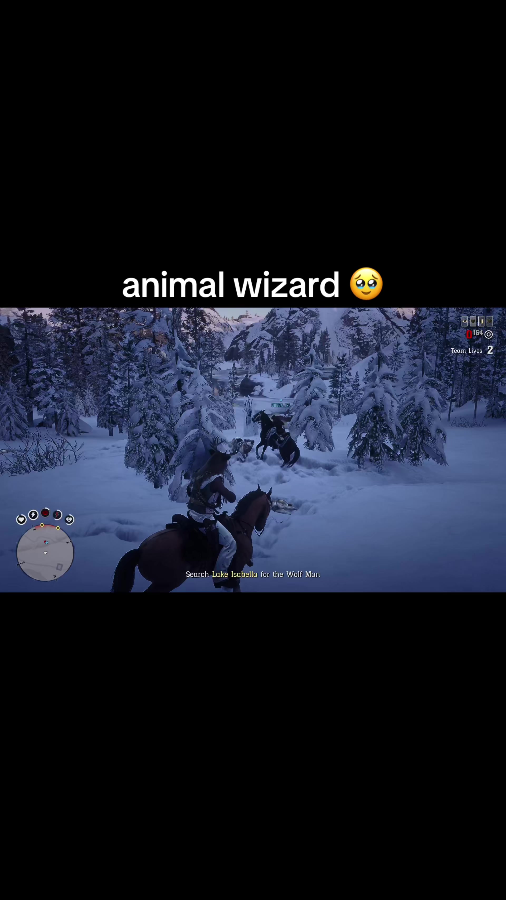 @↻- donkey -↺