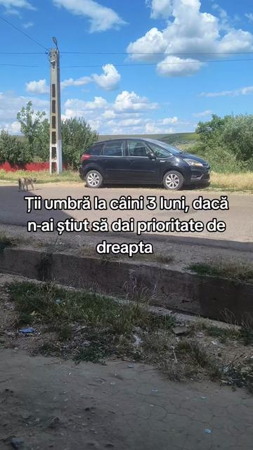 @Ilie Bălcuță