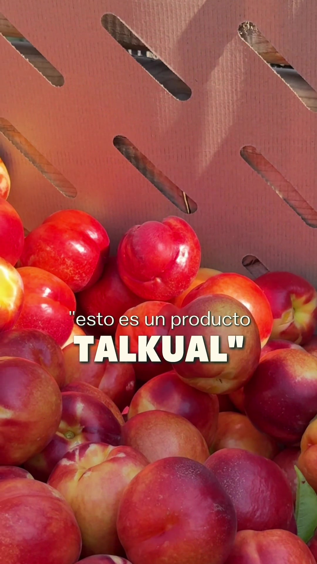 @TALKUAL
