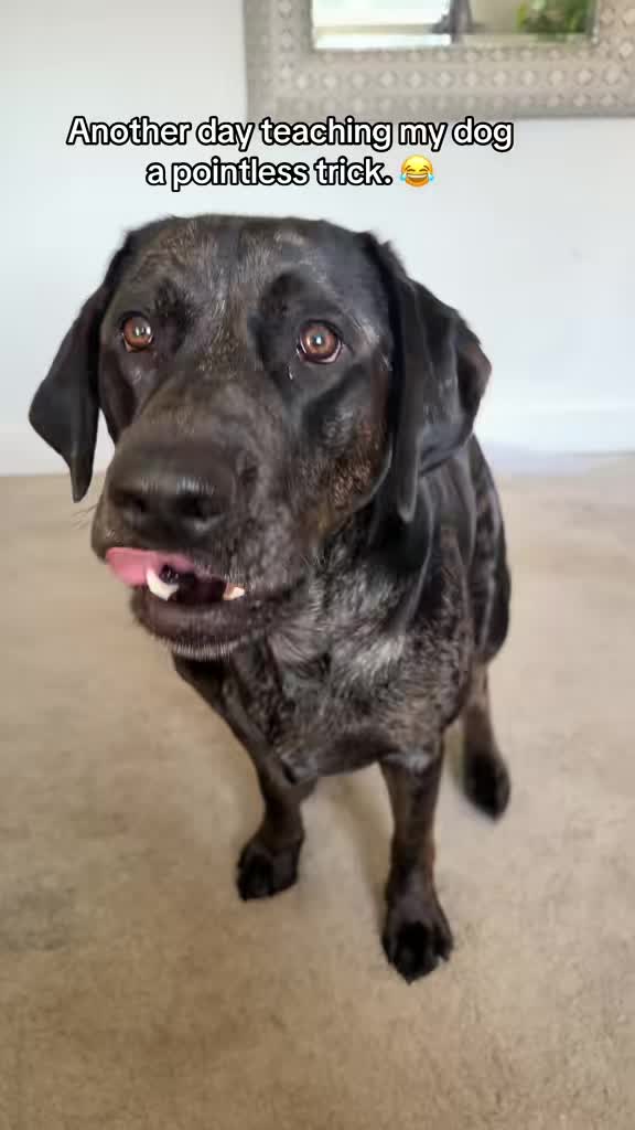 @Leotheleopardlab