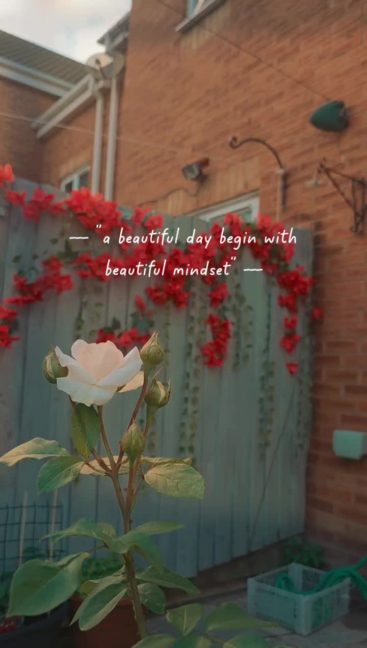 @Billo Rani 👸 🦋