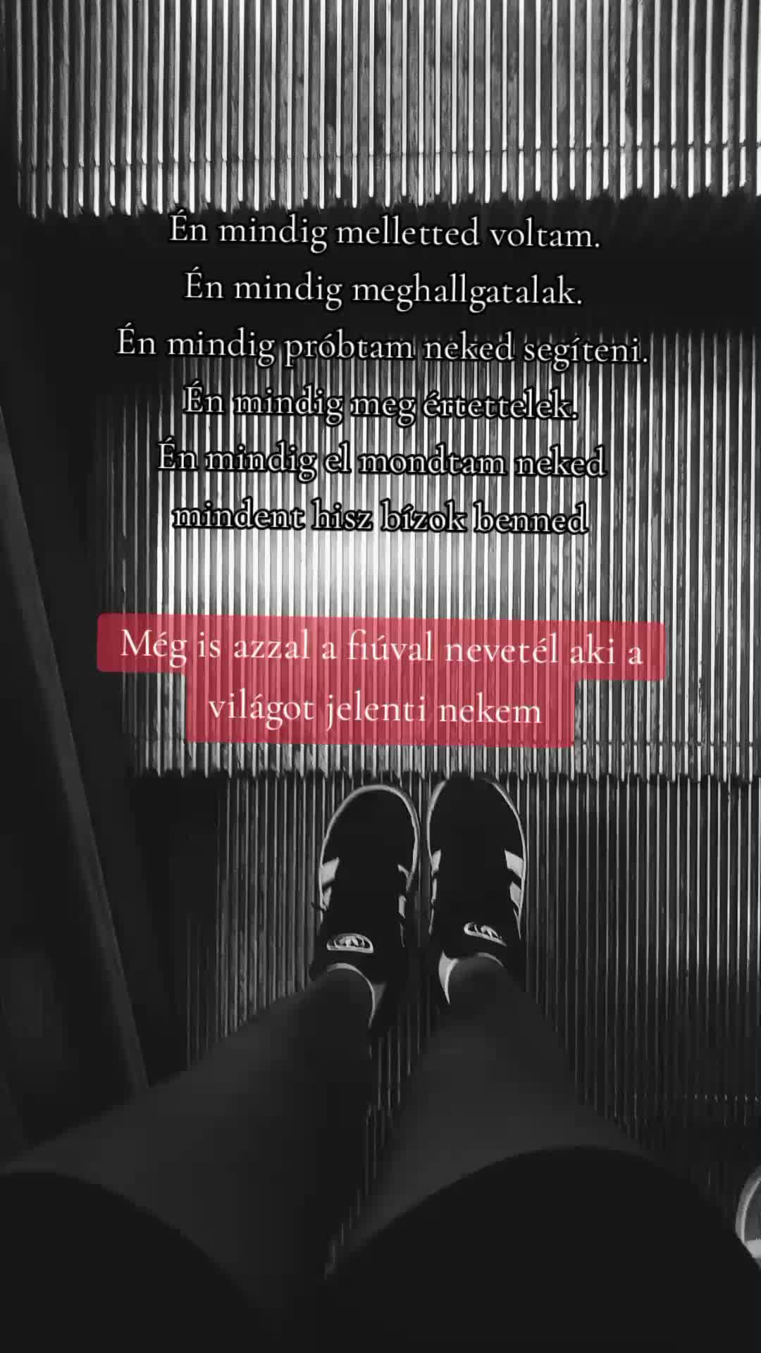 @⭐🪽