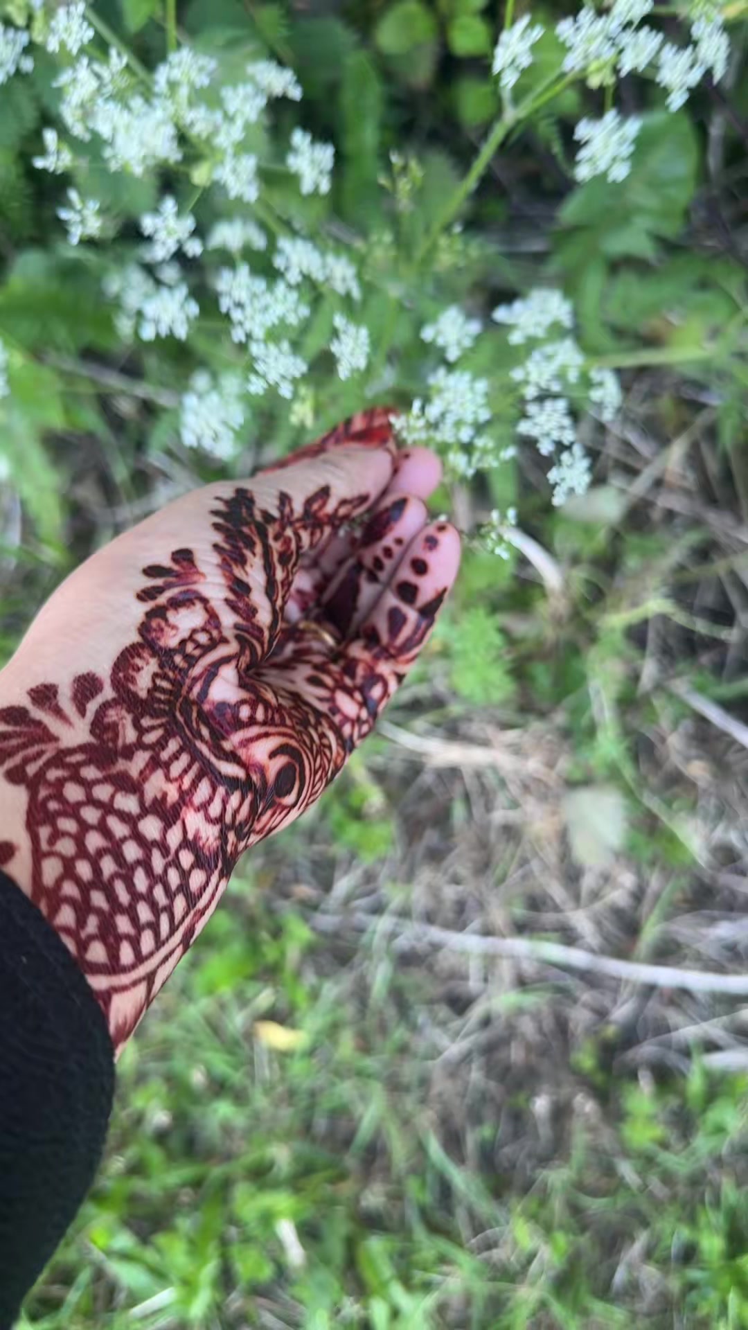 @N.begum12