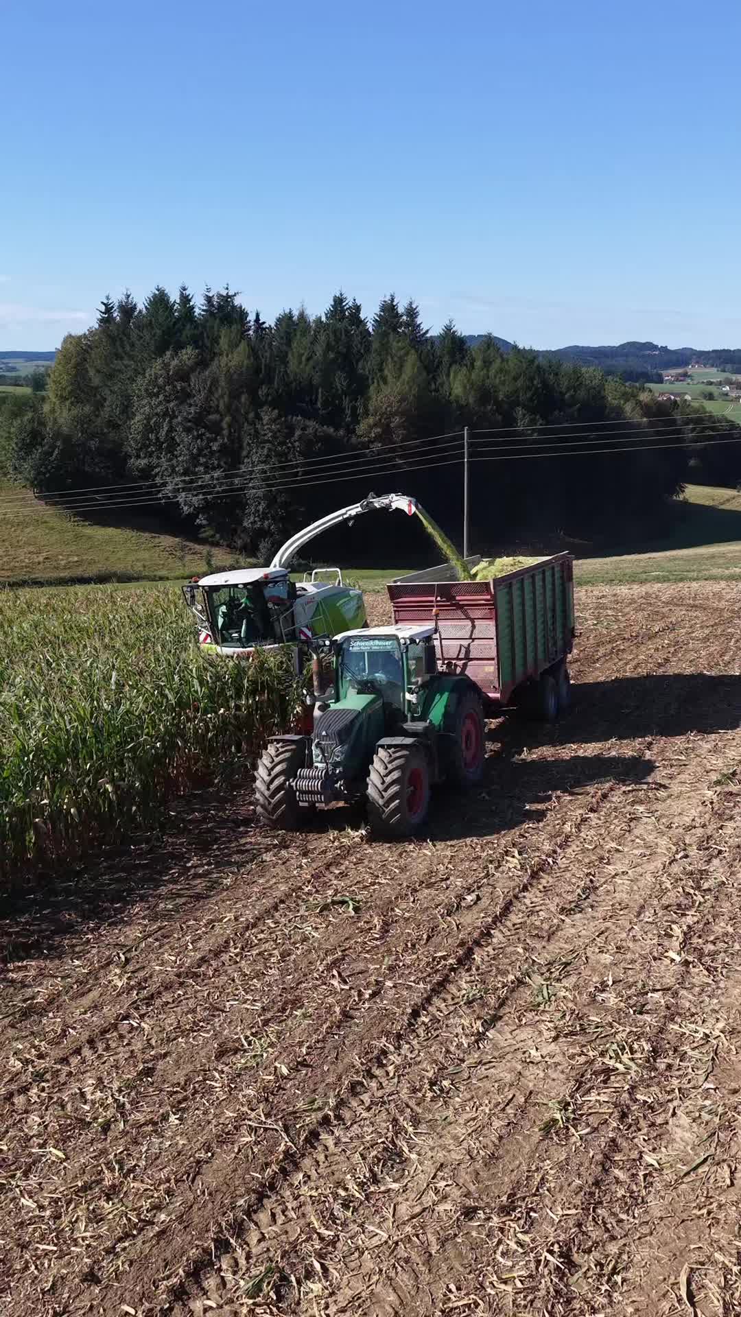 @FarmTok