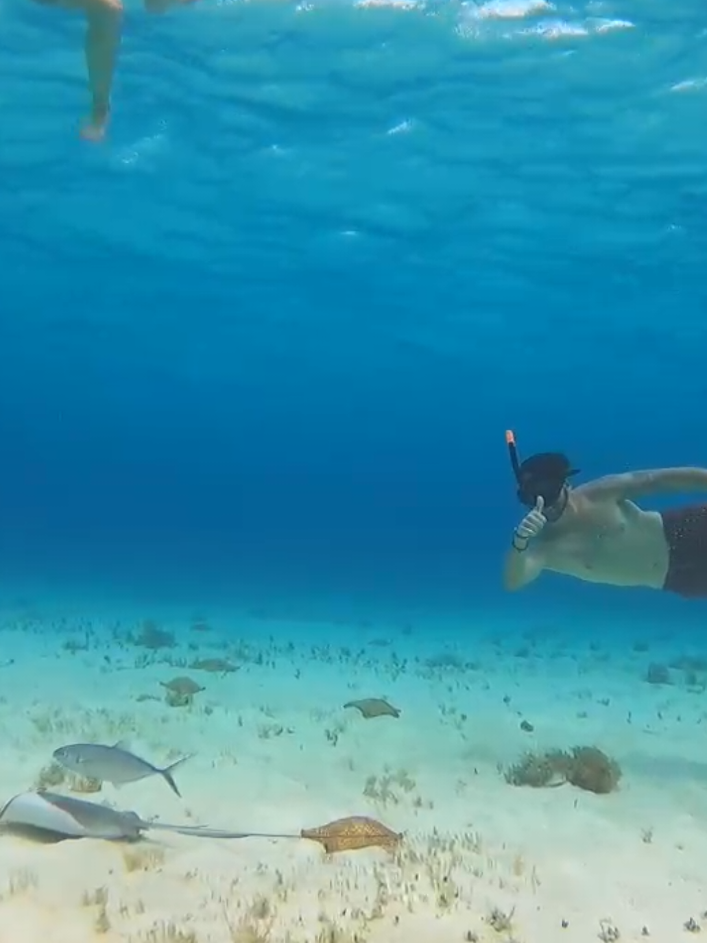 @Nakira 🧜🏼♀️🐚🪸