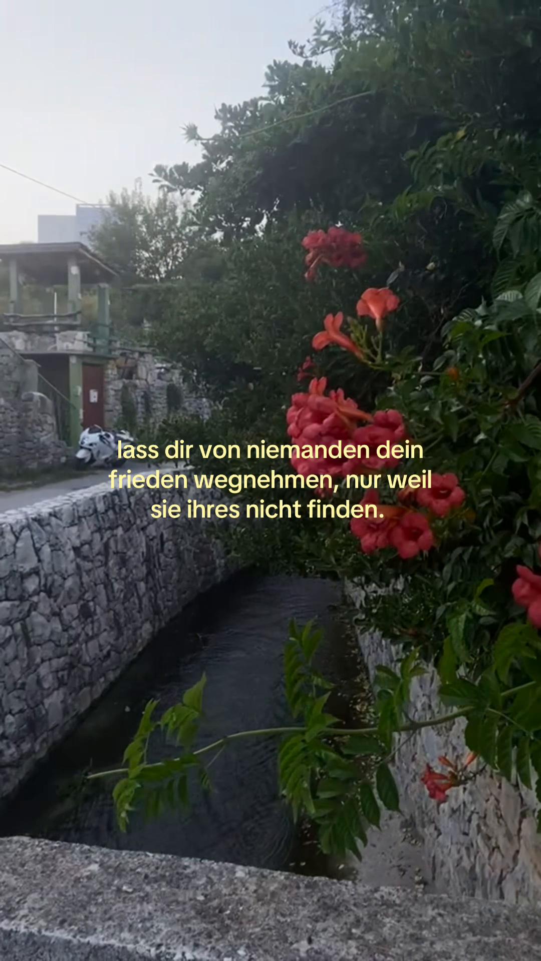 @viennaazitatee