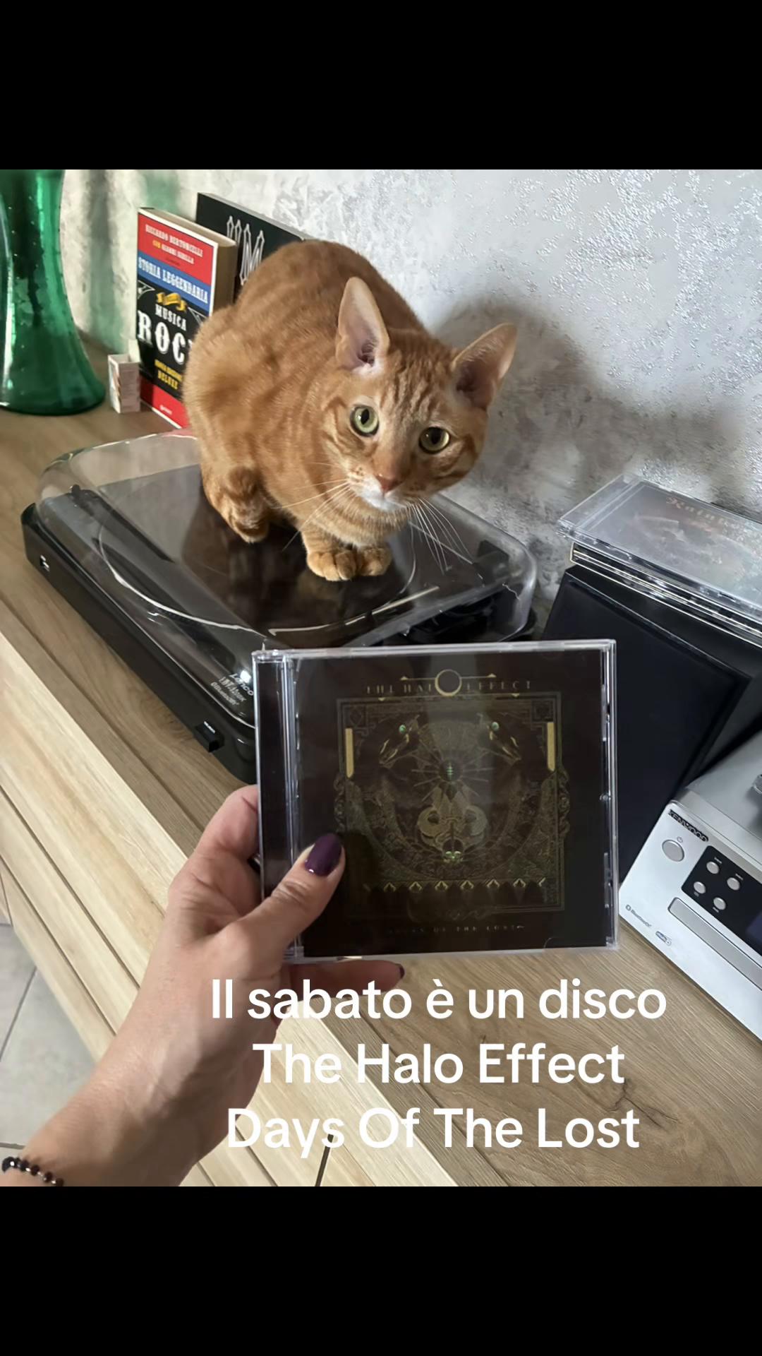 @Moniarock