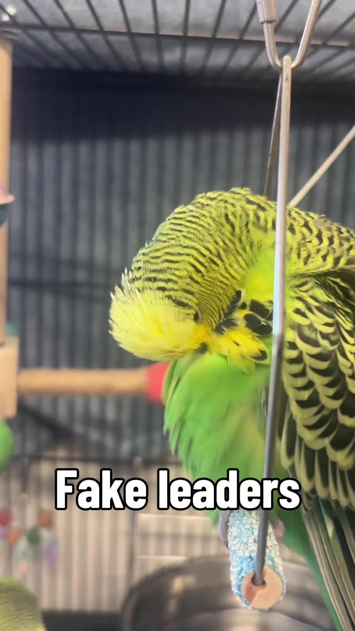 @𝓢𝓐𝓜